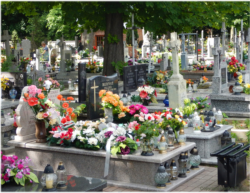 135a.Friedhof