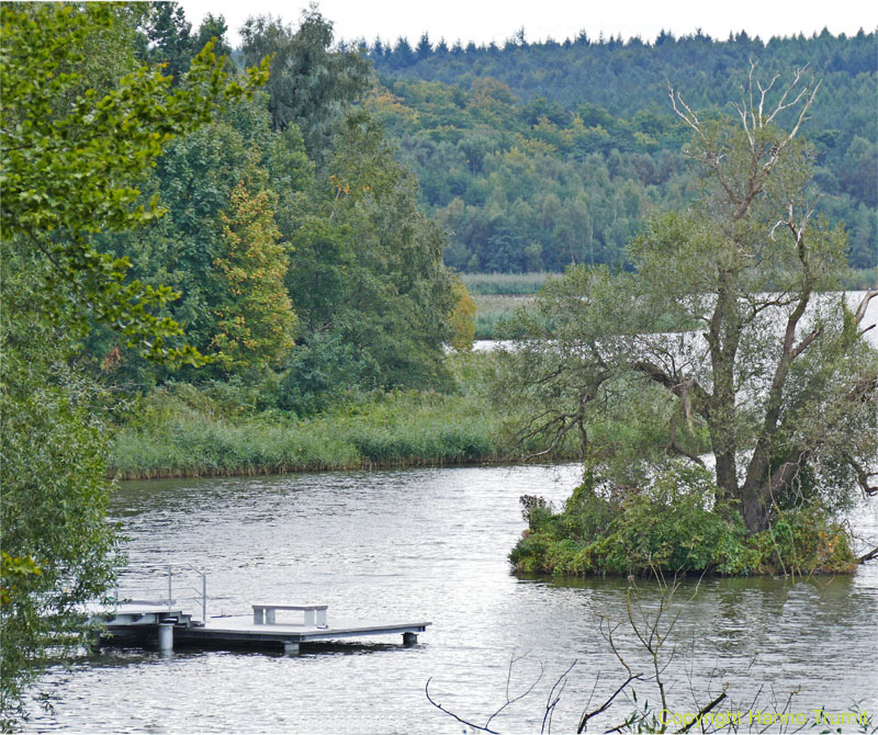 335.Koelpinsee